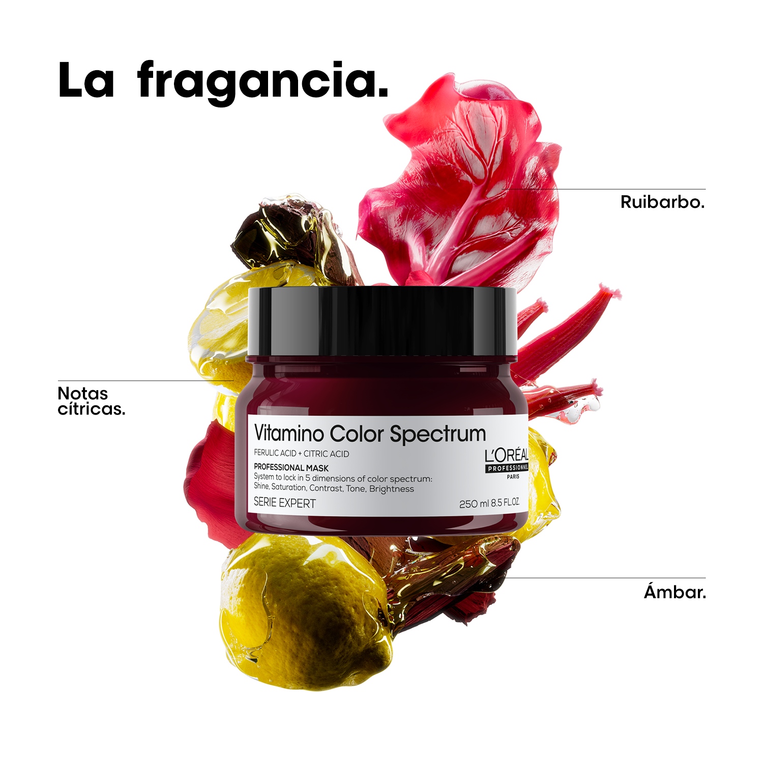 L'OREAL PROFESSIONNEL SE VITAMINO COLOR SPECTRUM MASQUE (MASCARILLA PARA CABELLO TEÑIDO)